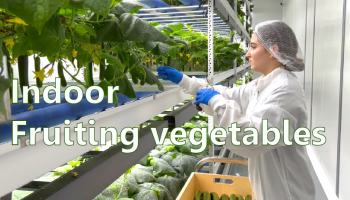 Grow-tec Indoor Vegetables