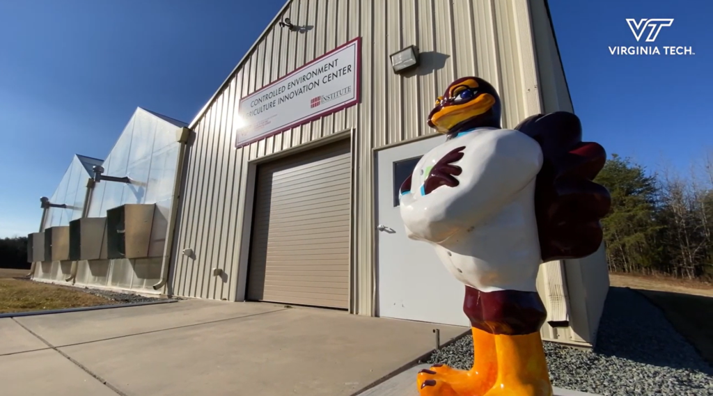 The Virginia Tech mascot stands outside of the Controlled Environment Agriculture Innovation Center.